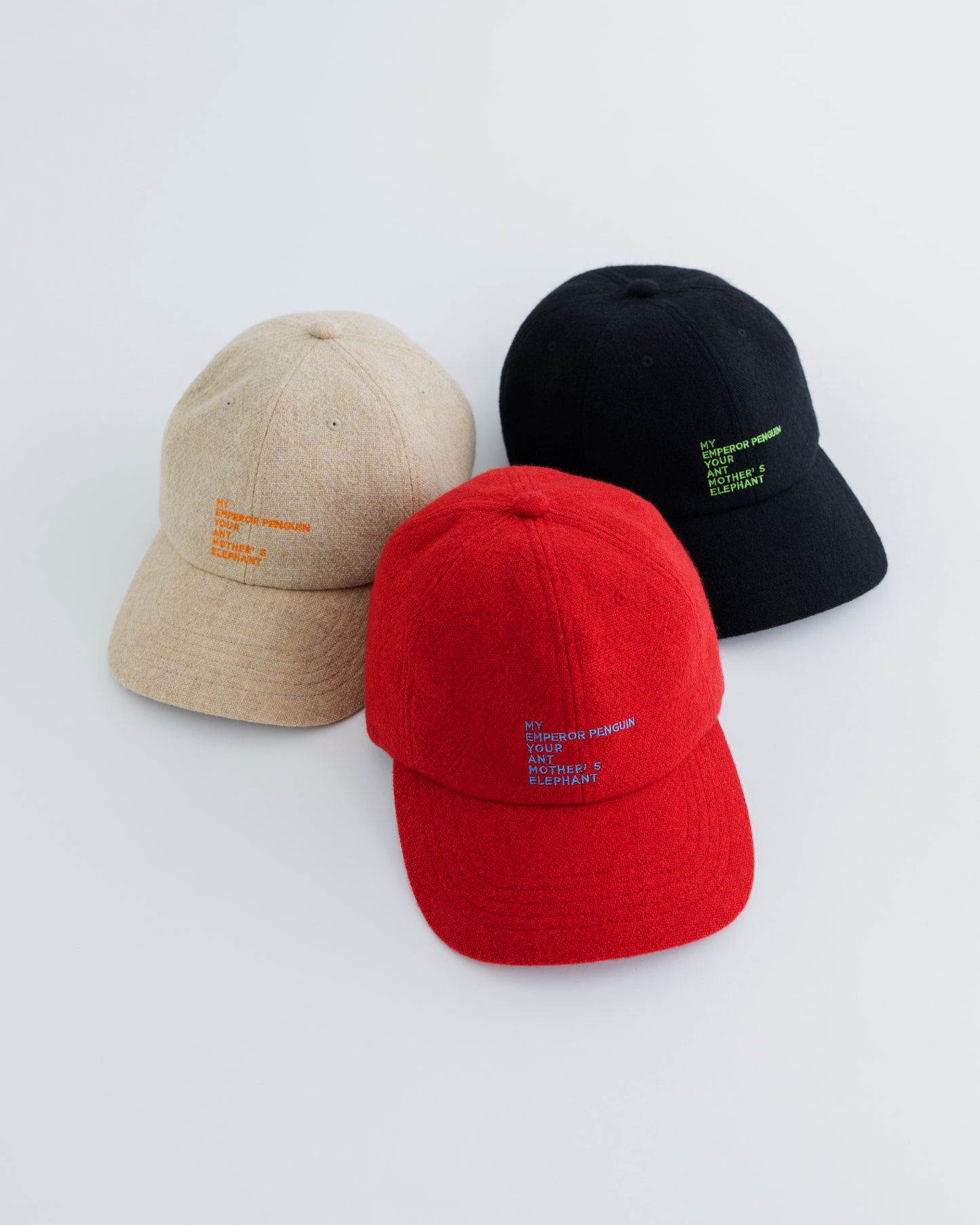 WOOL EMBROIDELY CAP (TATEYOMI)
