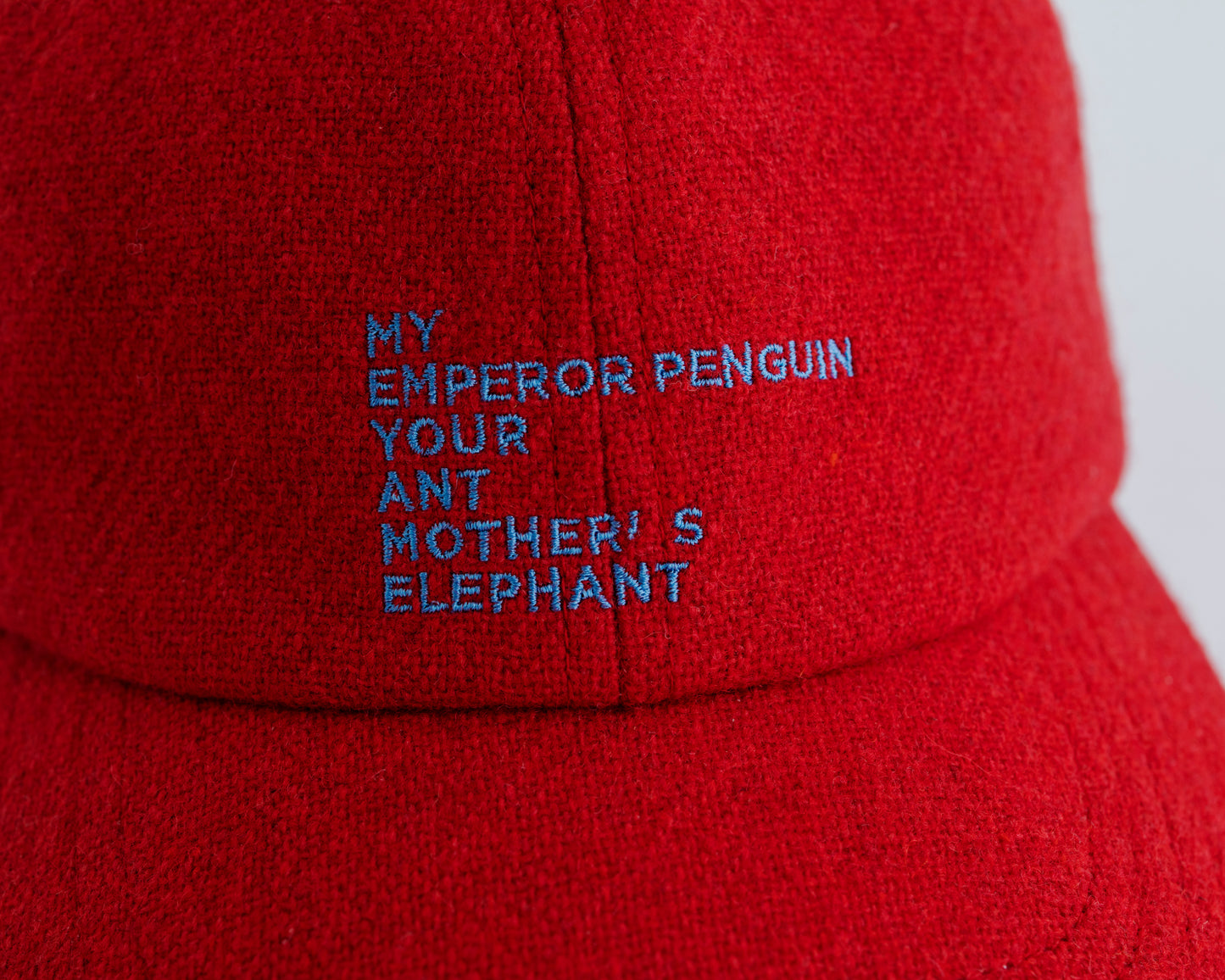 WOOL EMBROIDELY CAP (TATEYOMI)