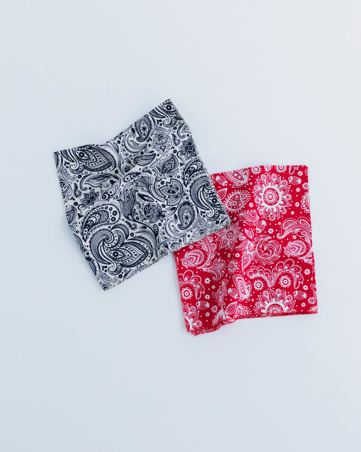HAV-A-HANK BANDANA (PAISLEY)