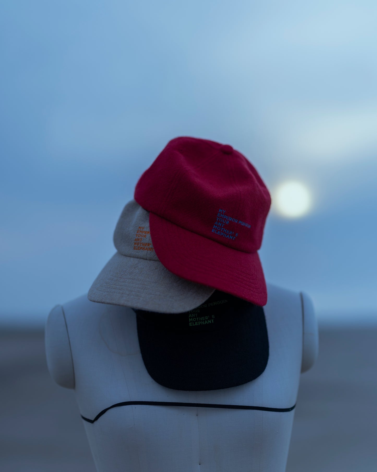 WOOL EMBROIDELY CAP (TATEYOMI)